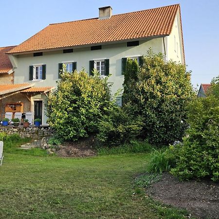 Ferienhaus Am Donauspitz Villa Келхайм Екстериор снимка