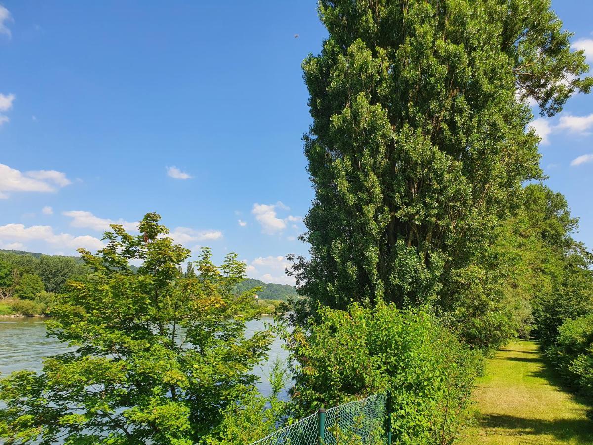 Ferienhaus Am Donauspitz Келхайм Екстериор снимка
