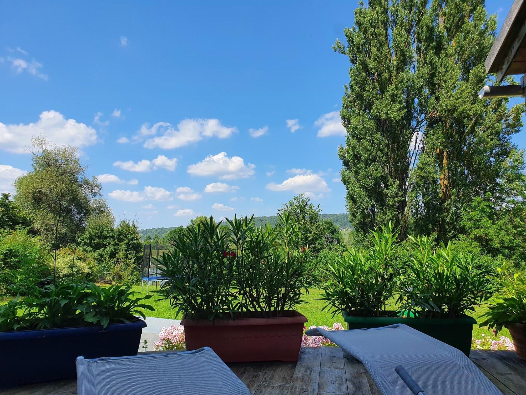 Ferienhaus Am Donauspitz Келхайм Екстериор снимка